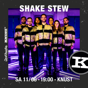 SHAKE STEW