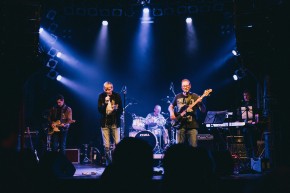 KNUST JAHRESHAUPTVERSAMMLUNG:  THE HAMMOCKS + PAUL BOTTERS ELEPHANT + DIEDANACH